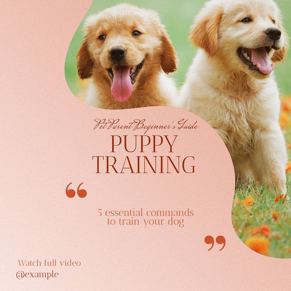 Puppy training Instagram post template, editable text