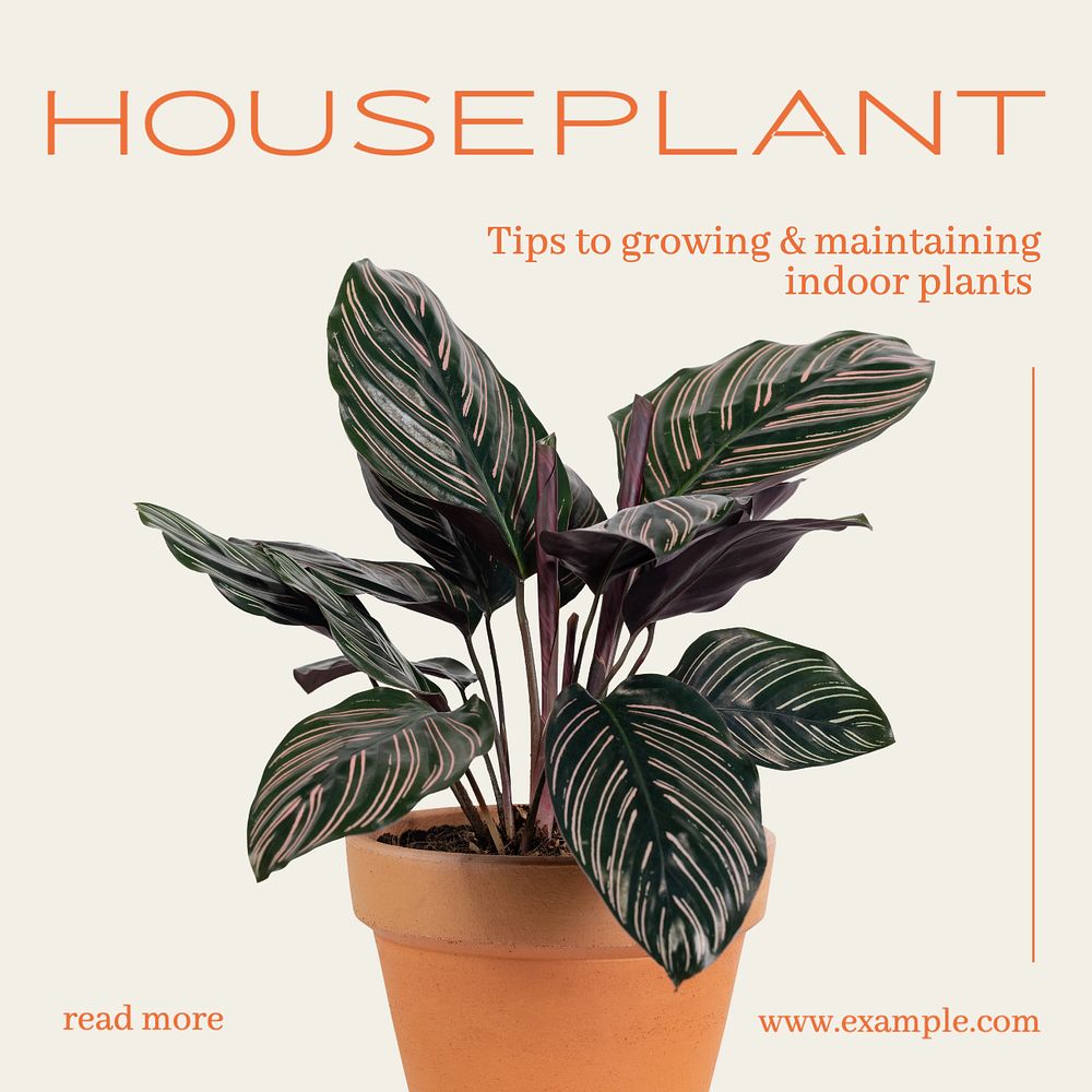 Houseplant tips Instagram post template, editable text