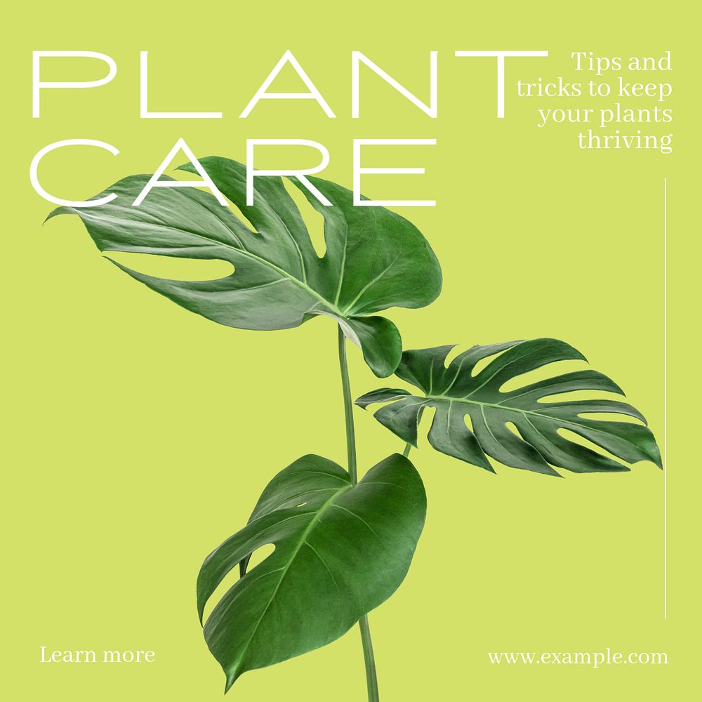 Plant care Instagram post template, editable text