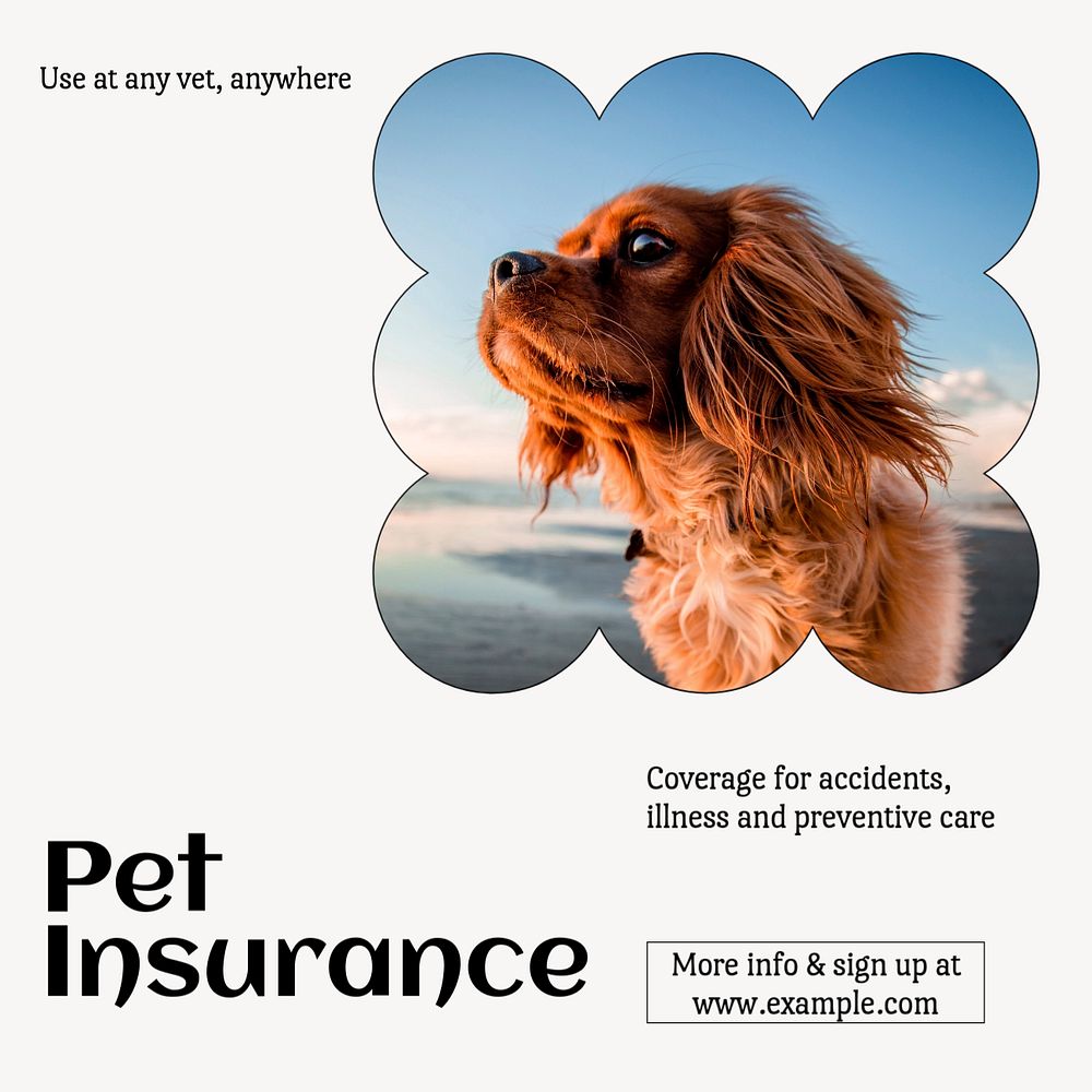 Pet insurance Instagram post template, editable text