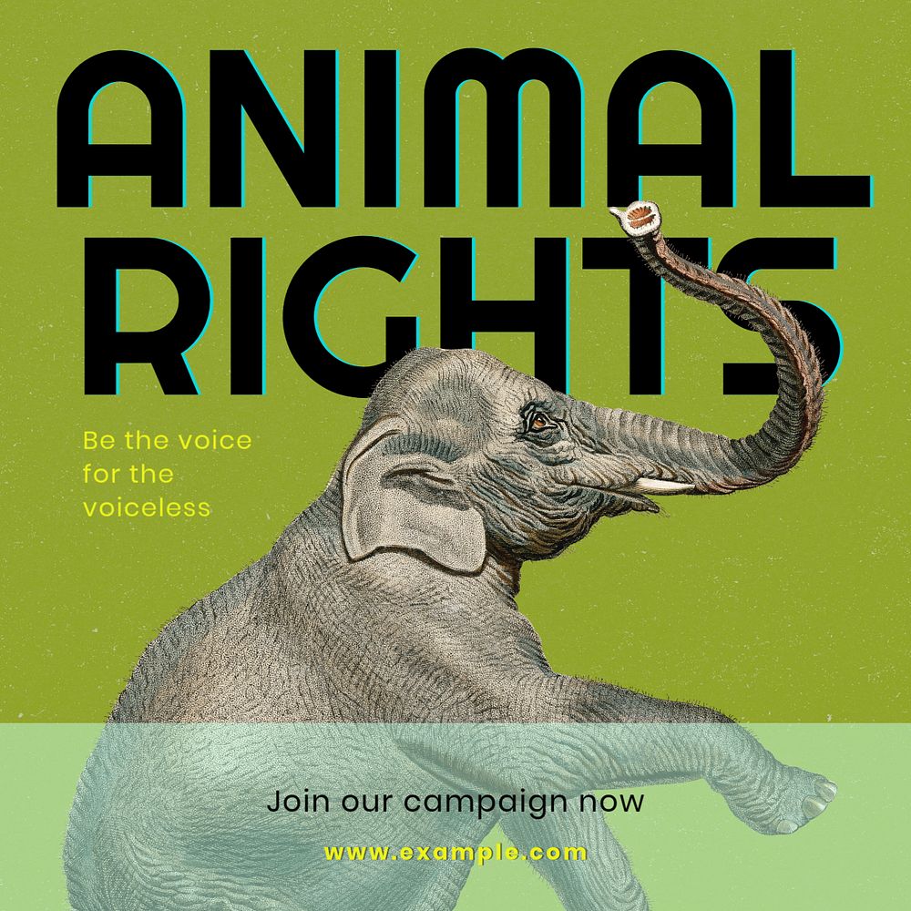 Animal rights Instagram post template, editable text 