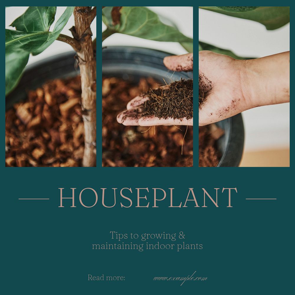 Houseplant tips Instagram post template, editable social media design