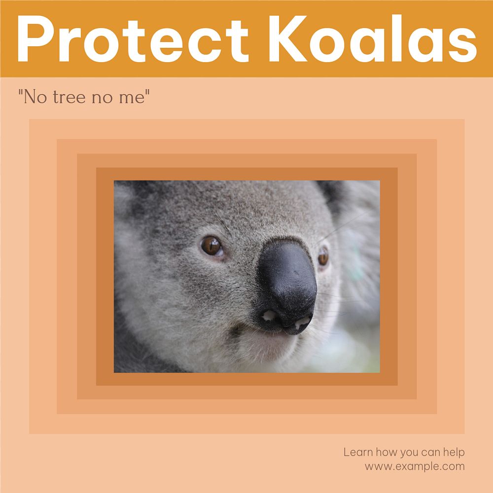 Protect Koalas Instagram post template, editable social media design