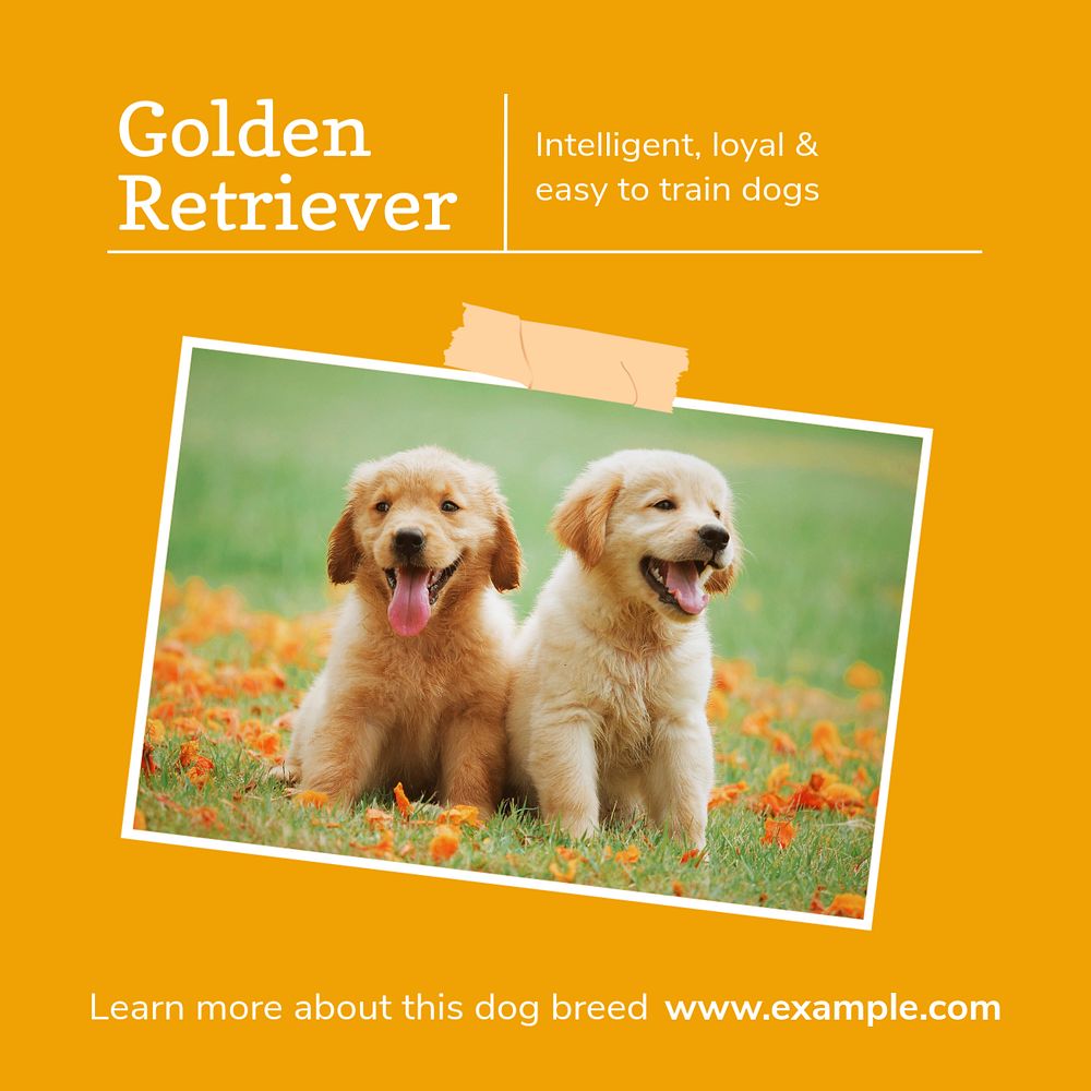 Golden Retriever Instagram post template, editable social media design