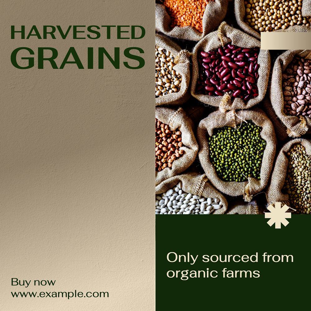 Organic grains Instagram post template, editable text