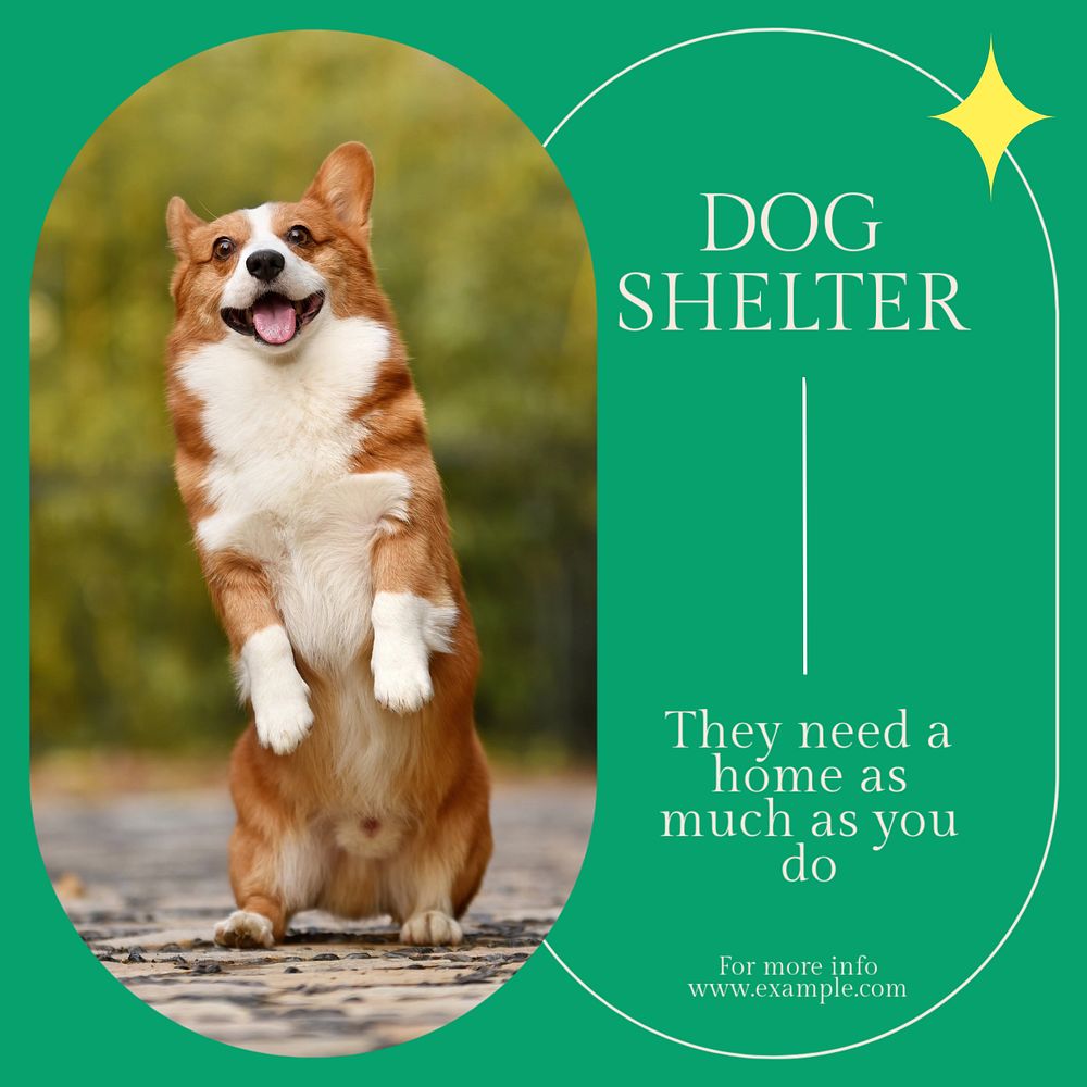 Dog shelter social media template, editable design