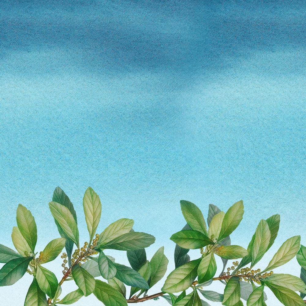 Leaf border blue background, editable tropical design