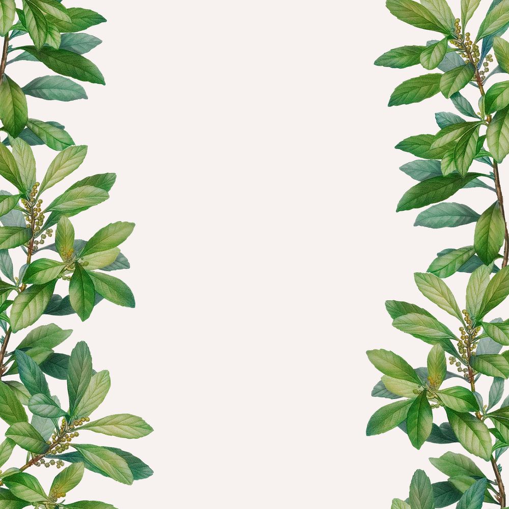 Green leaf border beige background, editable design