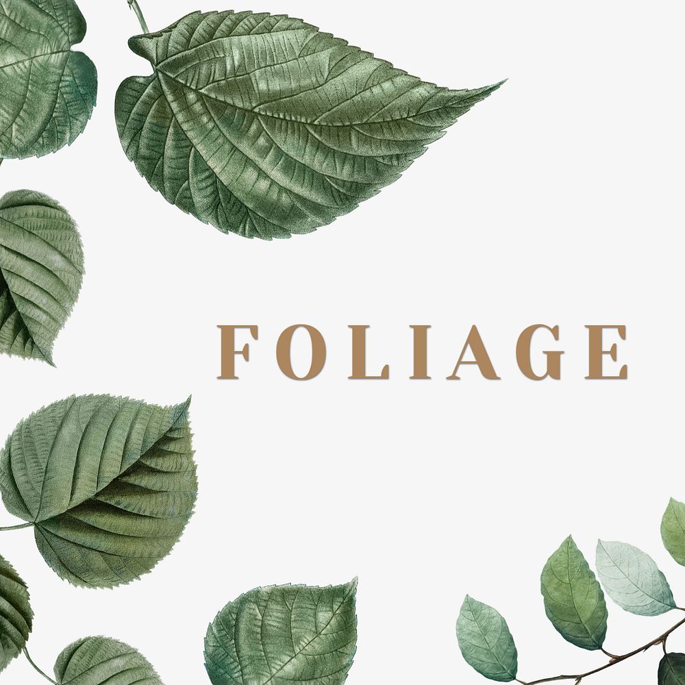 Botanical Instagram post template, editable leaf border design