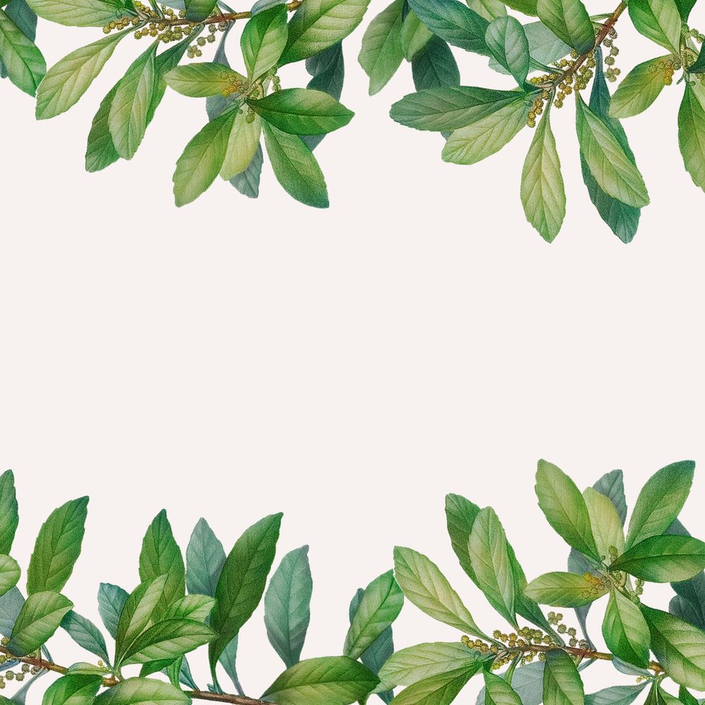 Editable leaf border beige background design