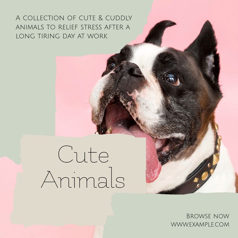 Cute animal Instagram post template, editable social media design