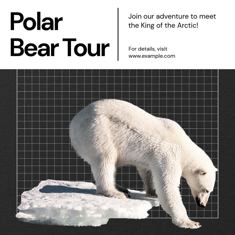 Polar bear tour Instagram post template, editable text