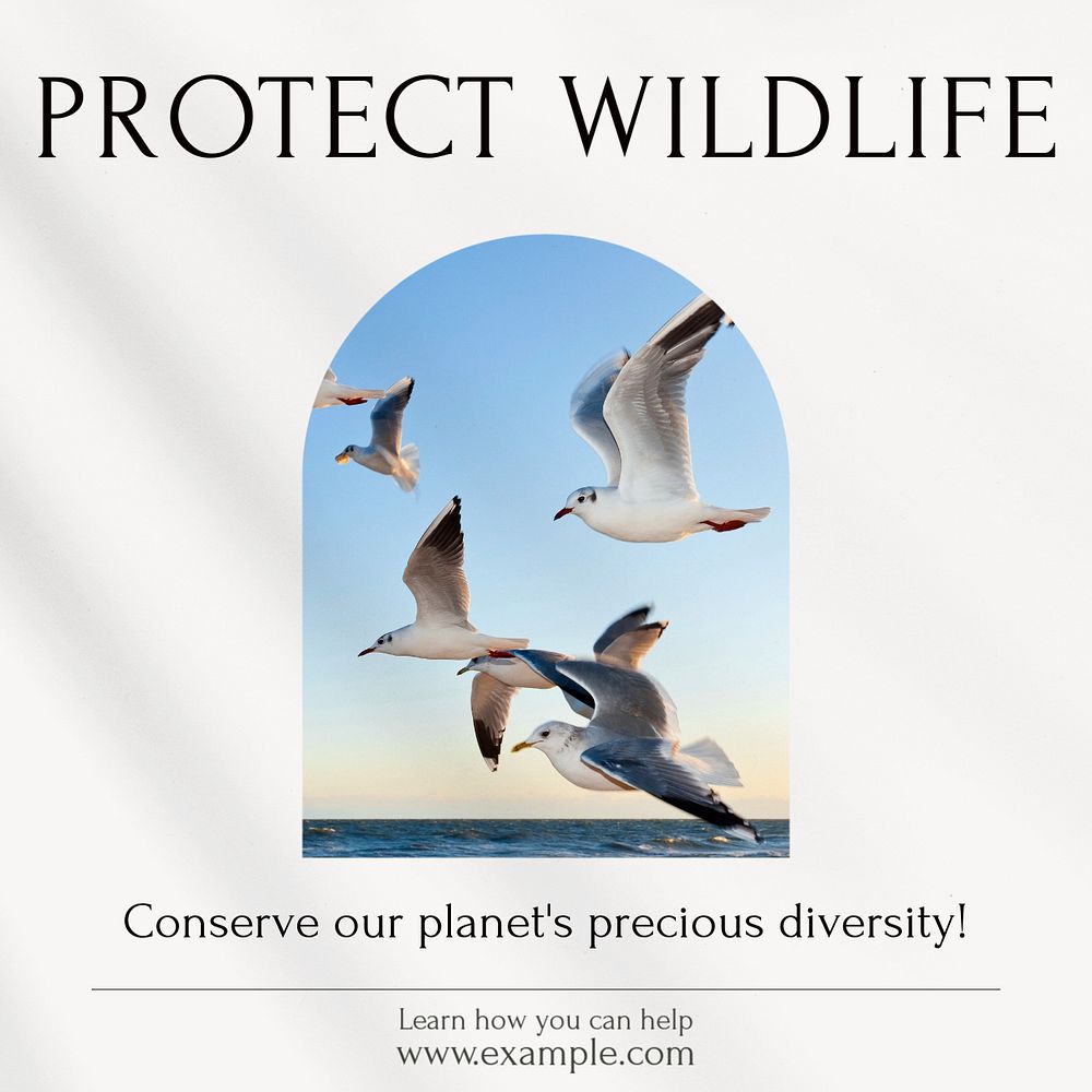 Protect wildlife social media template, editable design