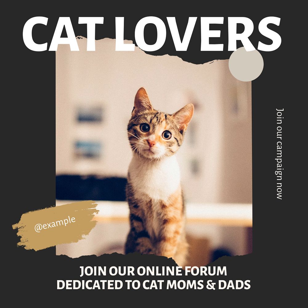 Cat lovers social media template, editable design