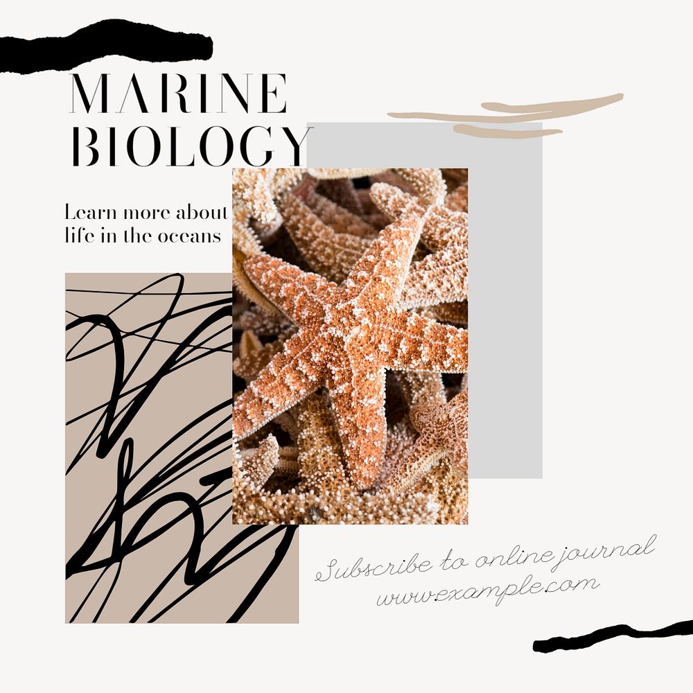 Marine biology Instagram post template, editable social media design