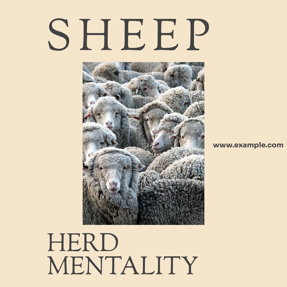 Sheep Instagram post template, editable social media design