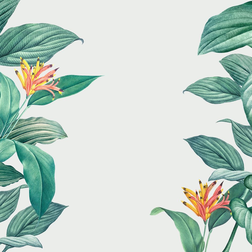 Tropical border off-white background, editable floral design