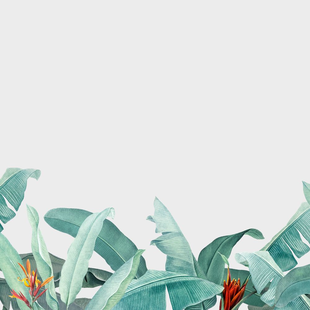 Tropical off-white background, editable floral border design