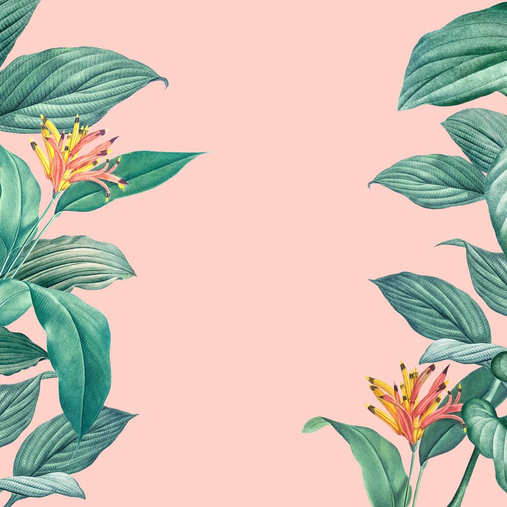 Tropical pink background, editable floral border design