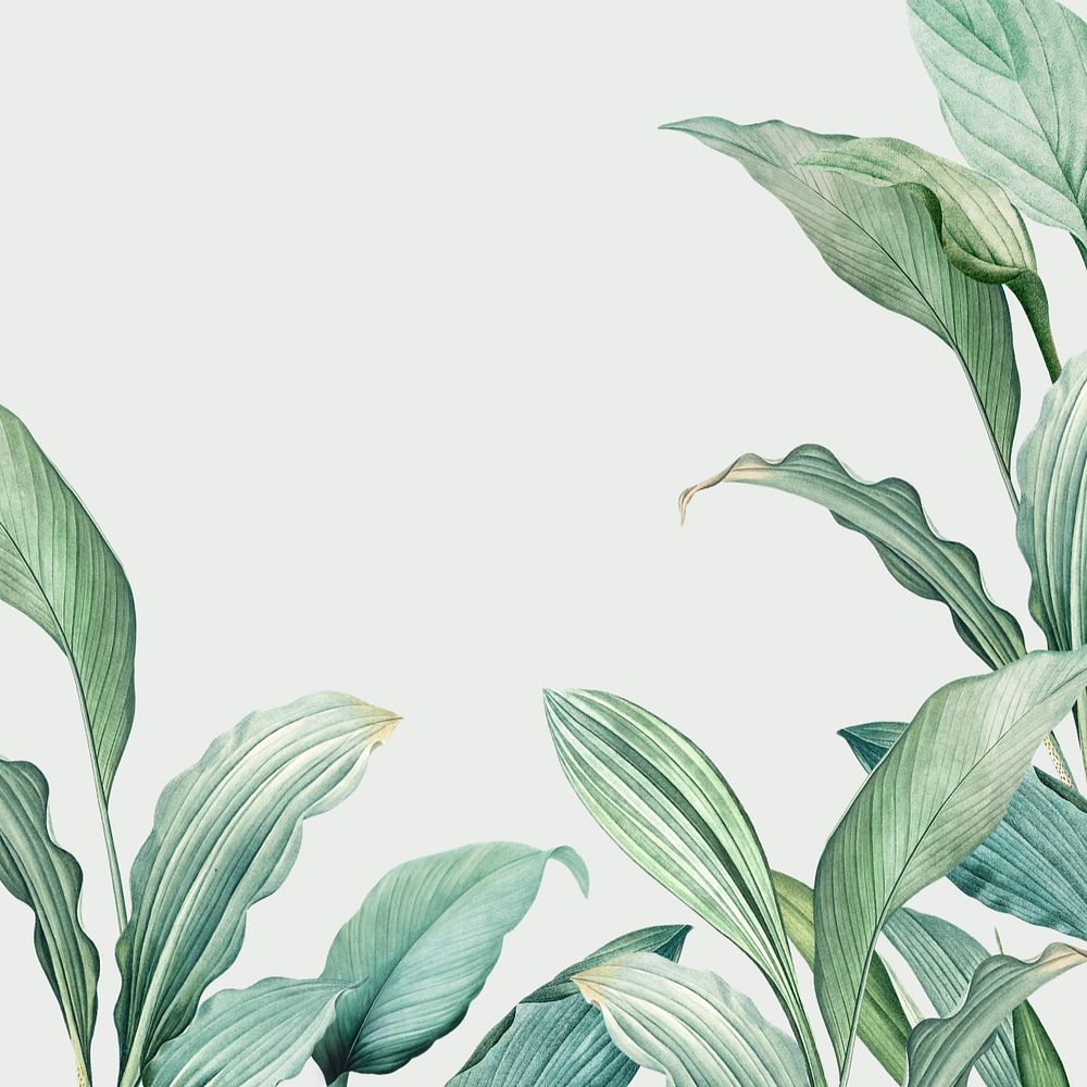 Leaf border off-white background, editable tropical design