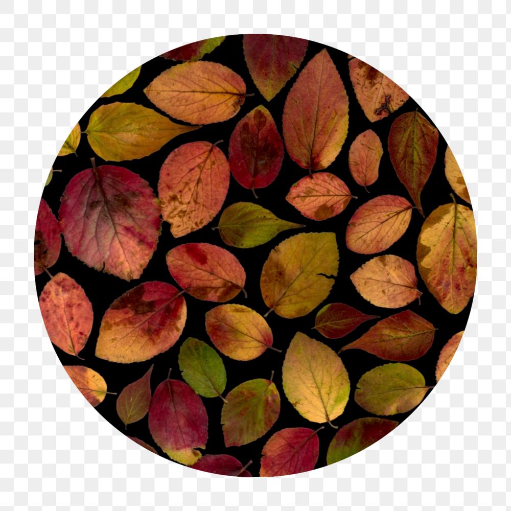 Round shape mockup png element, editable Autumn leaf design