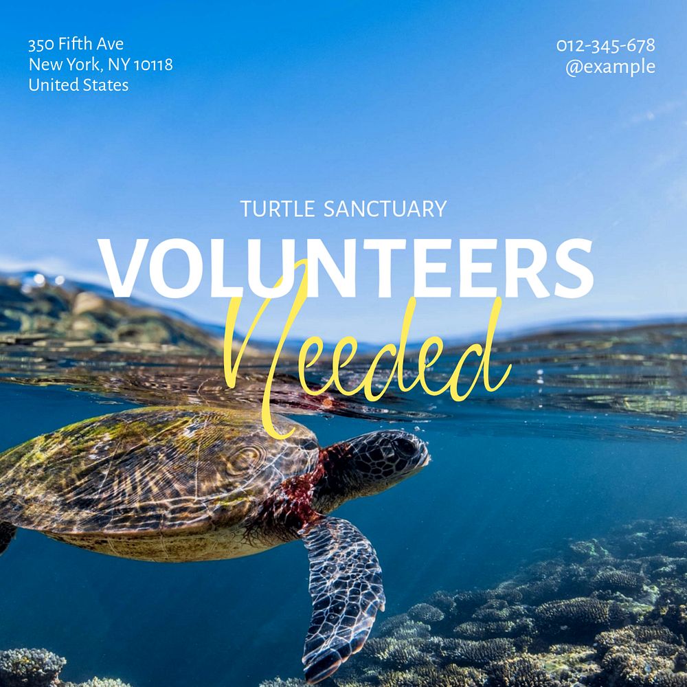 Volunteers needed Instagram post template, editable text