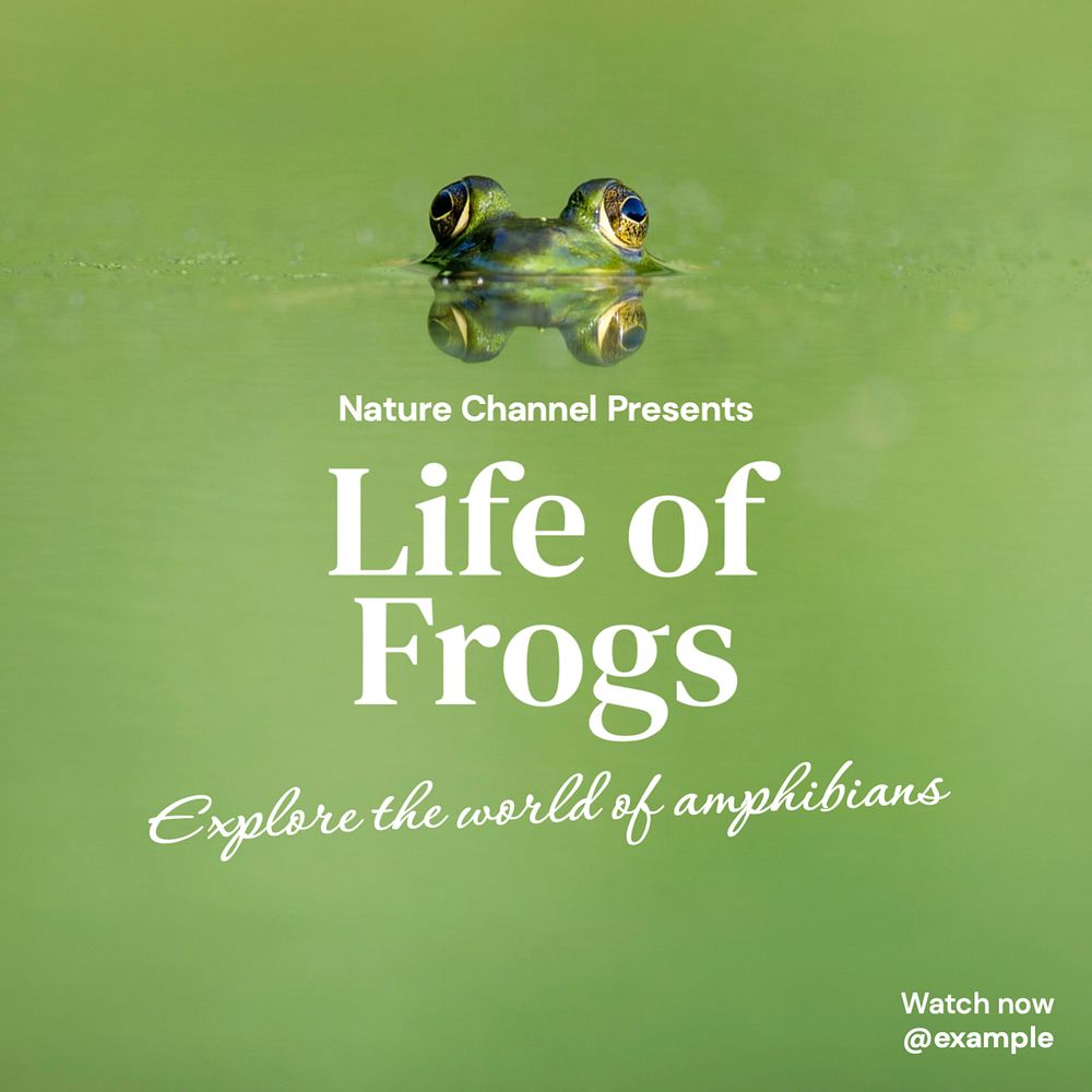 Frog documentary Instagram post template, editable text