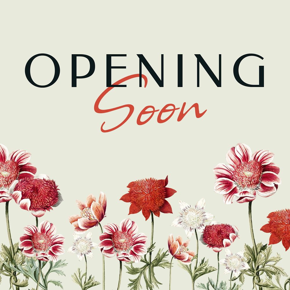 Opening soon Instagram post template