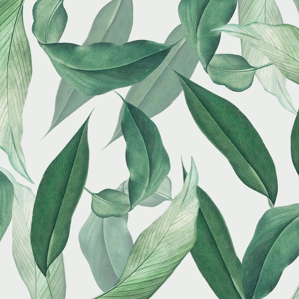 Editable tropical leaf background