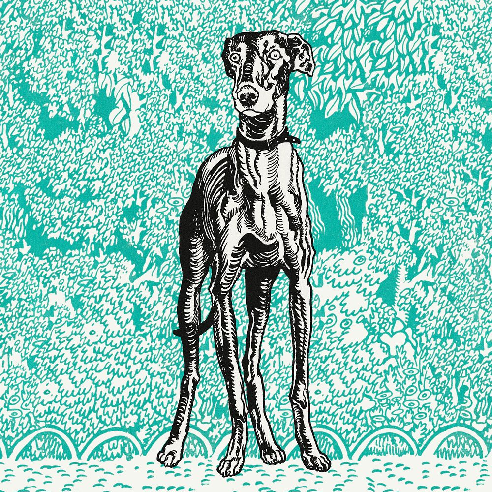 Green doodle greyhound illustration,  editable design