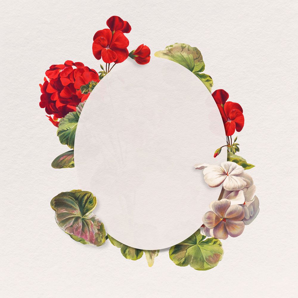 Geranium flower frame, editable floral oval badge