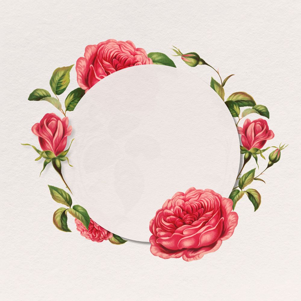 Red rose frame, editable botanical round badge