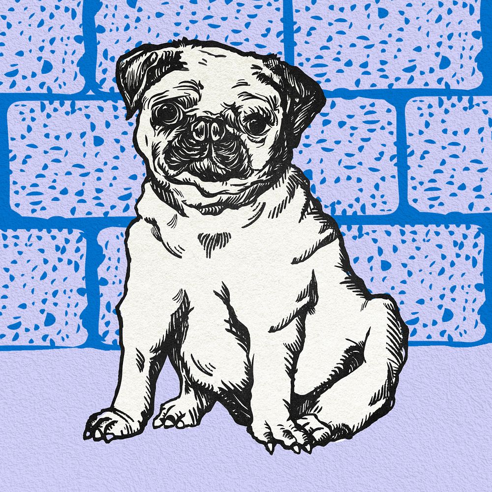 Blue vintage pug illustration,  editable design