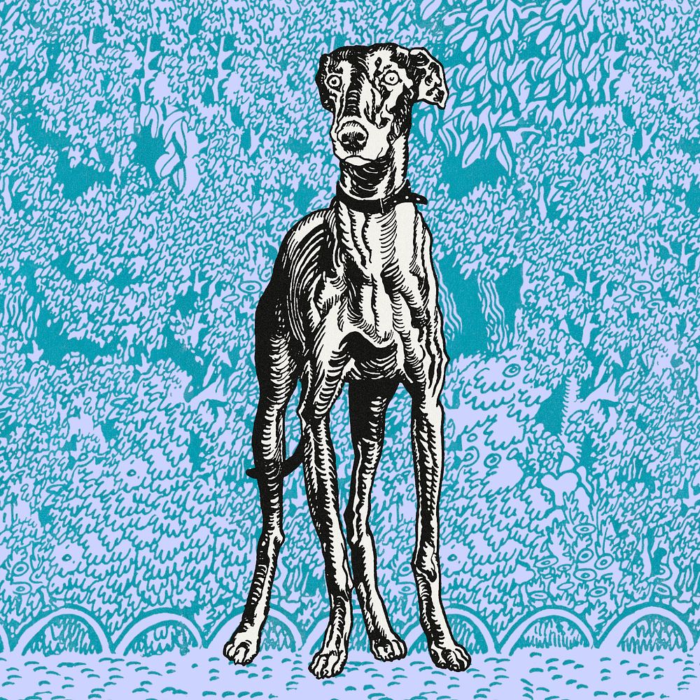 Green doodle greyhound illustration,  editable design