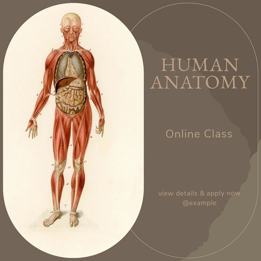 Human anatomy Facebook post template, editable design