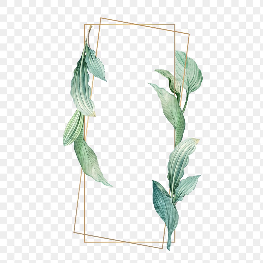 Leaf gold frame png element, editable design