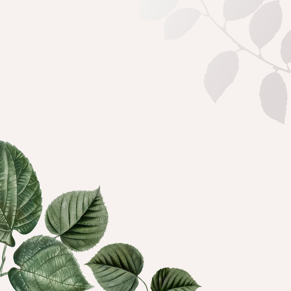 Editable leaf border beige background design