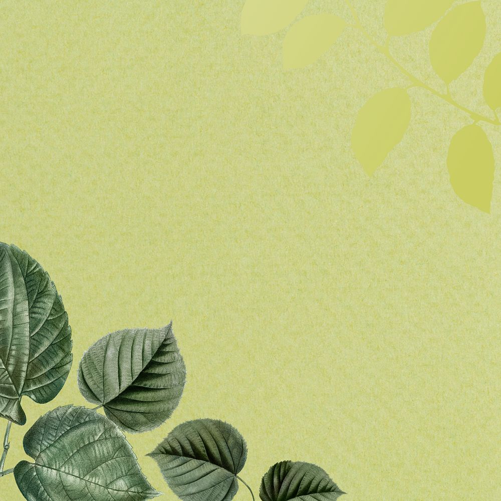 Leaf border green background, editable tropical design