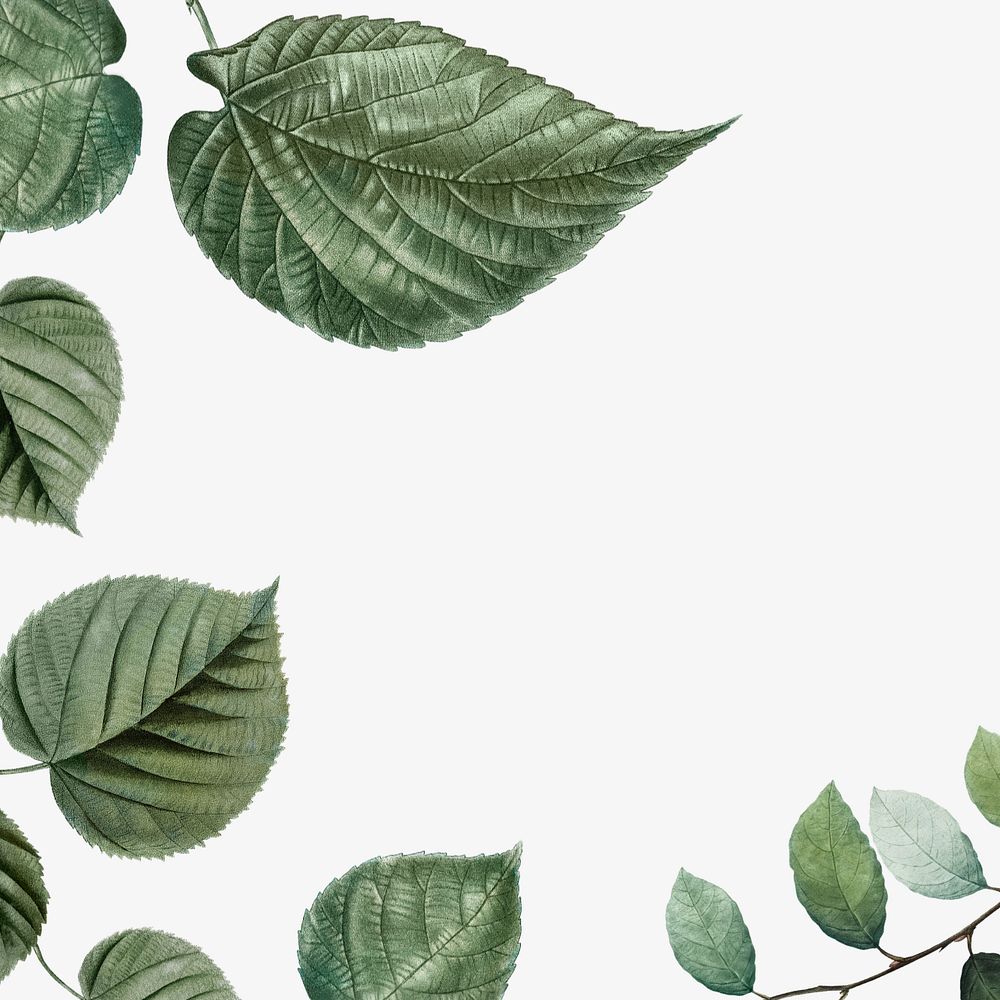 Leaf border off-white background, editable tropical design