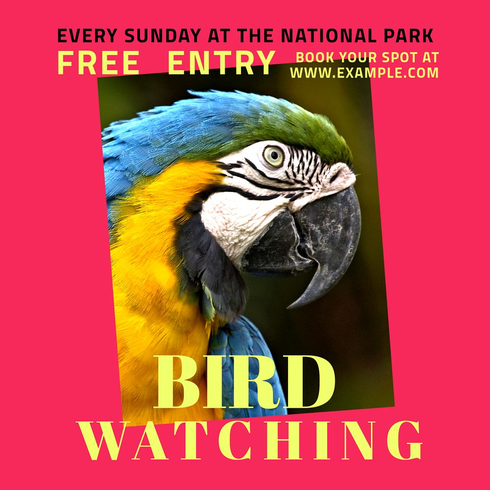 Bird watching Instagram post template, editable text