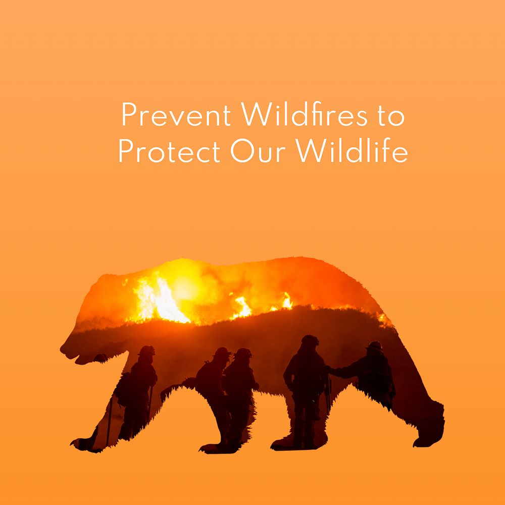 Prevent wildfires post template, editable text for social media