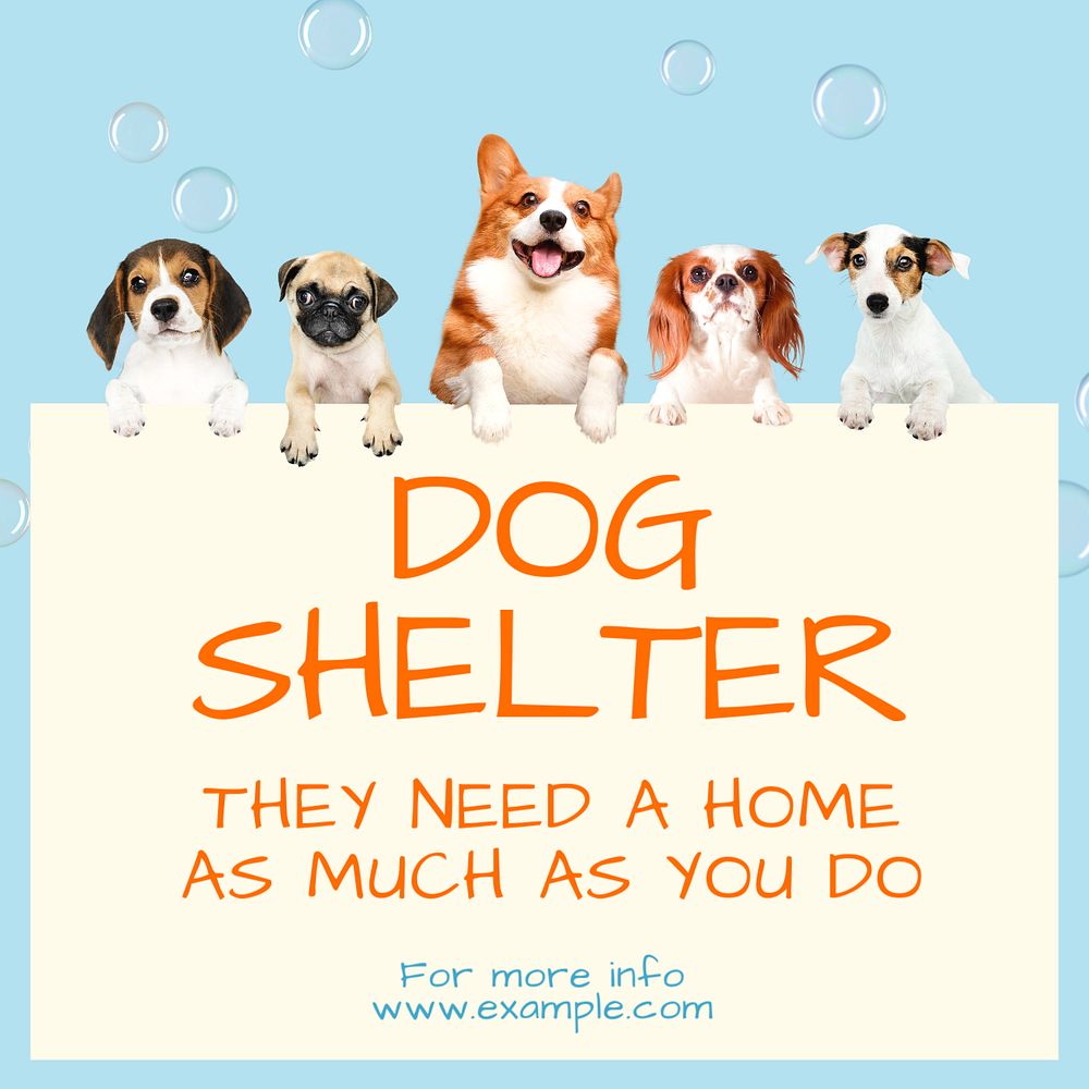 Dog shelter Instagram post template, editable text