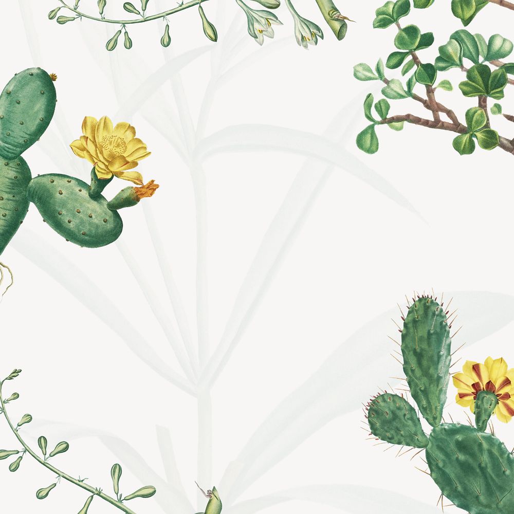 Tropical cactus floral background, vintage botanical border, editable design