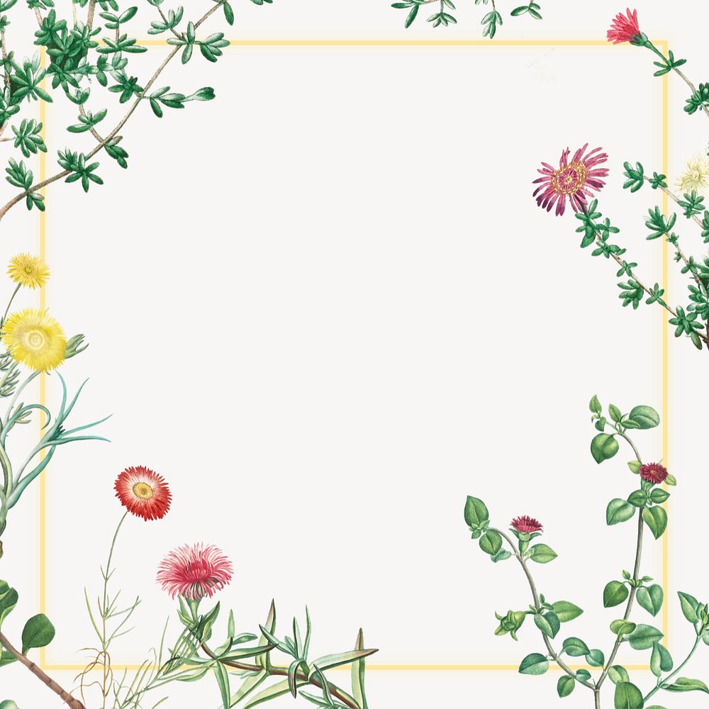 Colorful spring flowers desktop wallpaper, off-white frame background, editable design