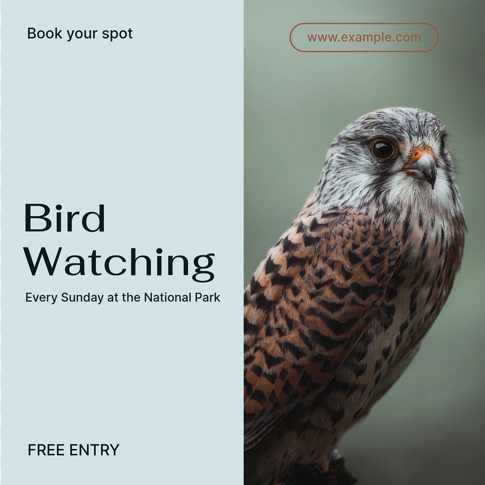 Bird watching Instagram post template, editable text