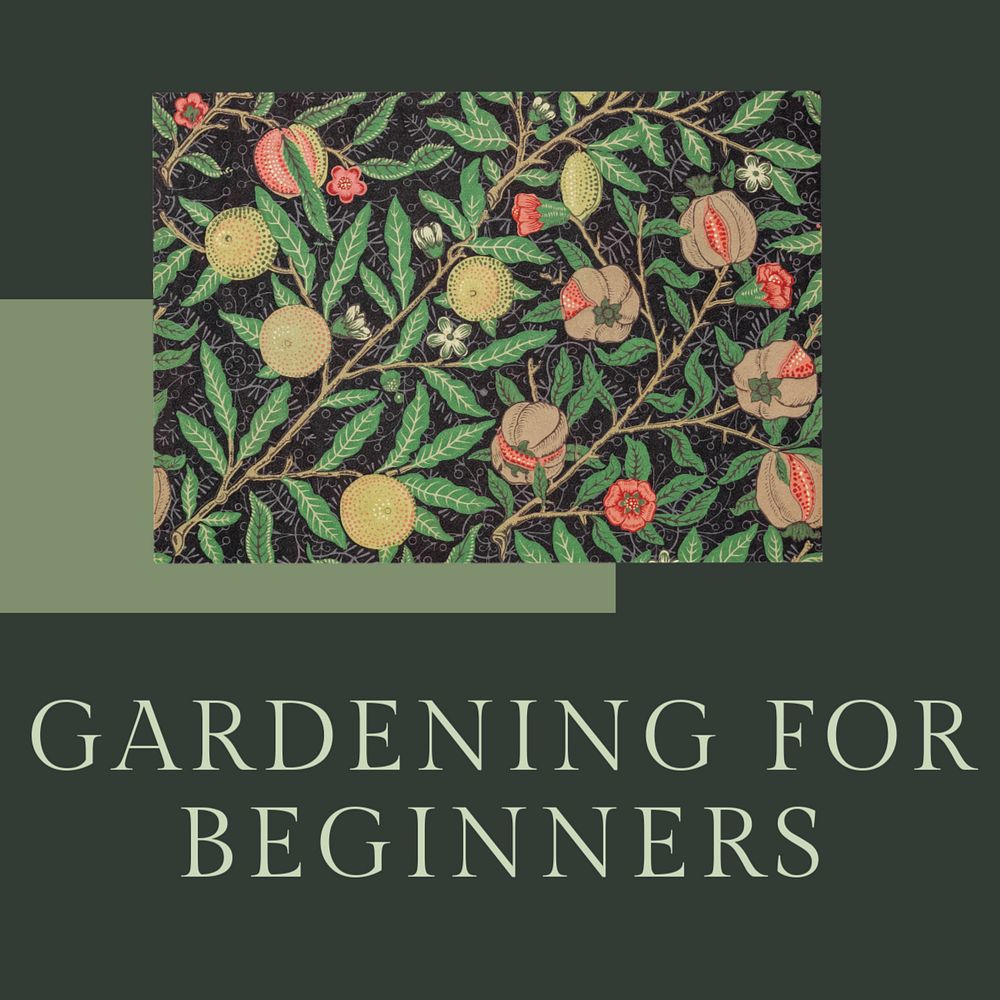 Gardening for beginners Instagram post template, editable design