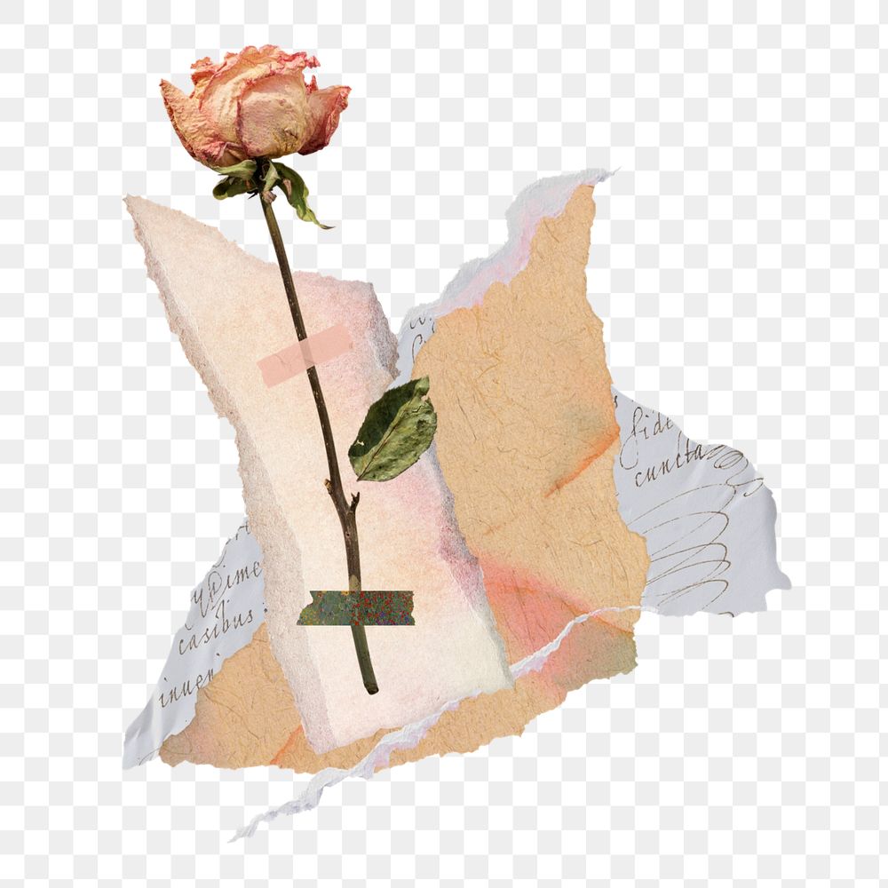 Aesthetic rose torn paper png, editable collage