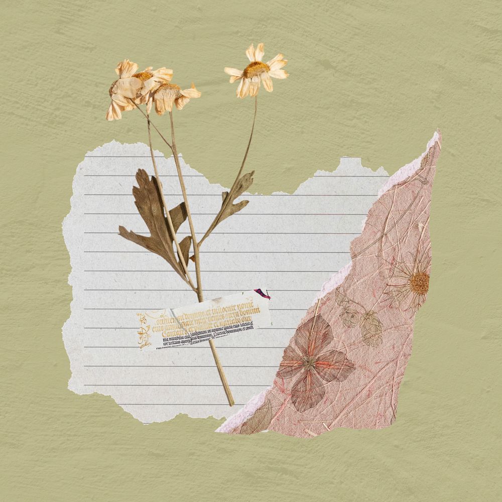 Aesthetic vintage flower paper collage