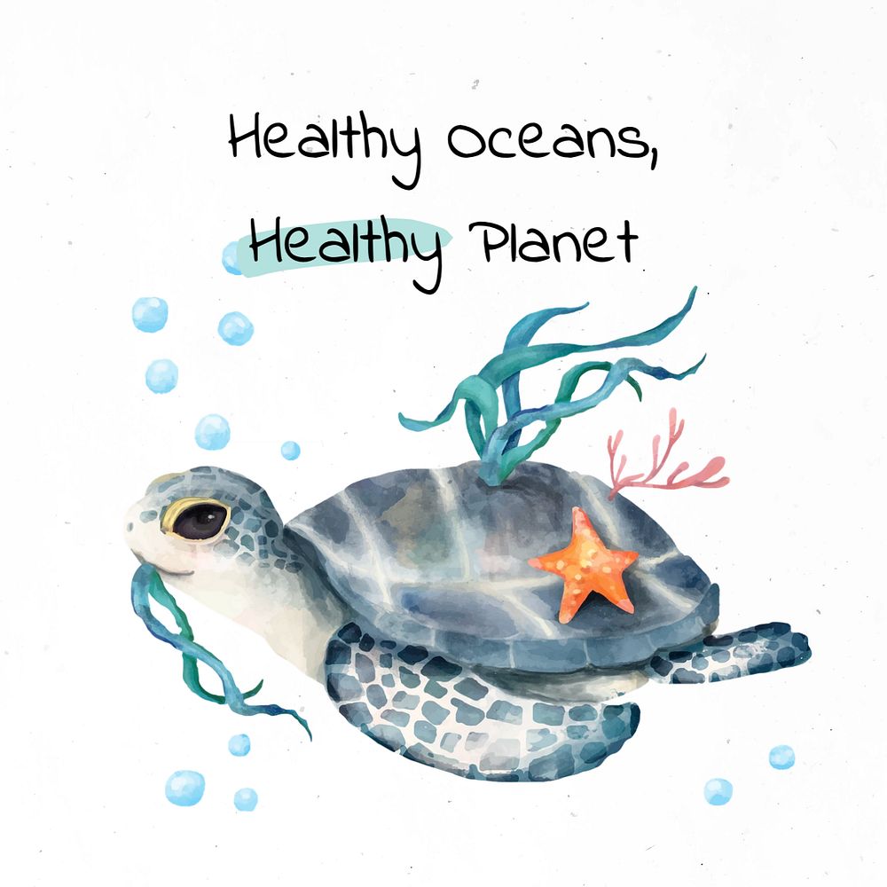 Healthy oceans & planet Instagram post template, editable text