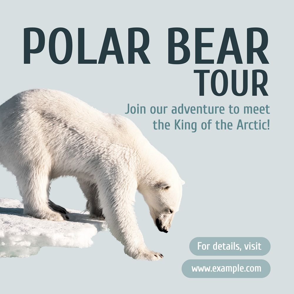 Polar bear tour Instagram post template, editable text